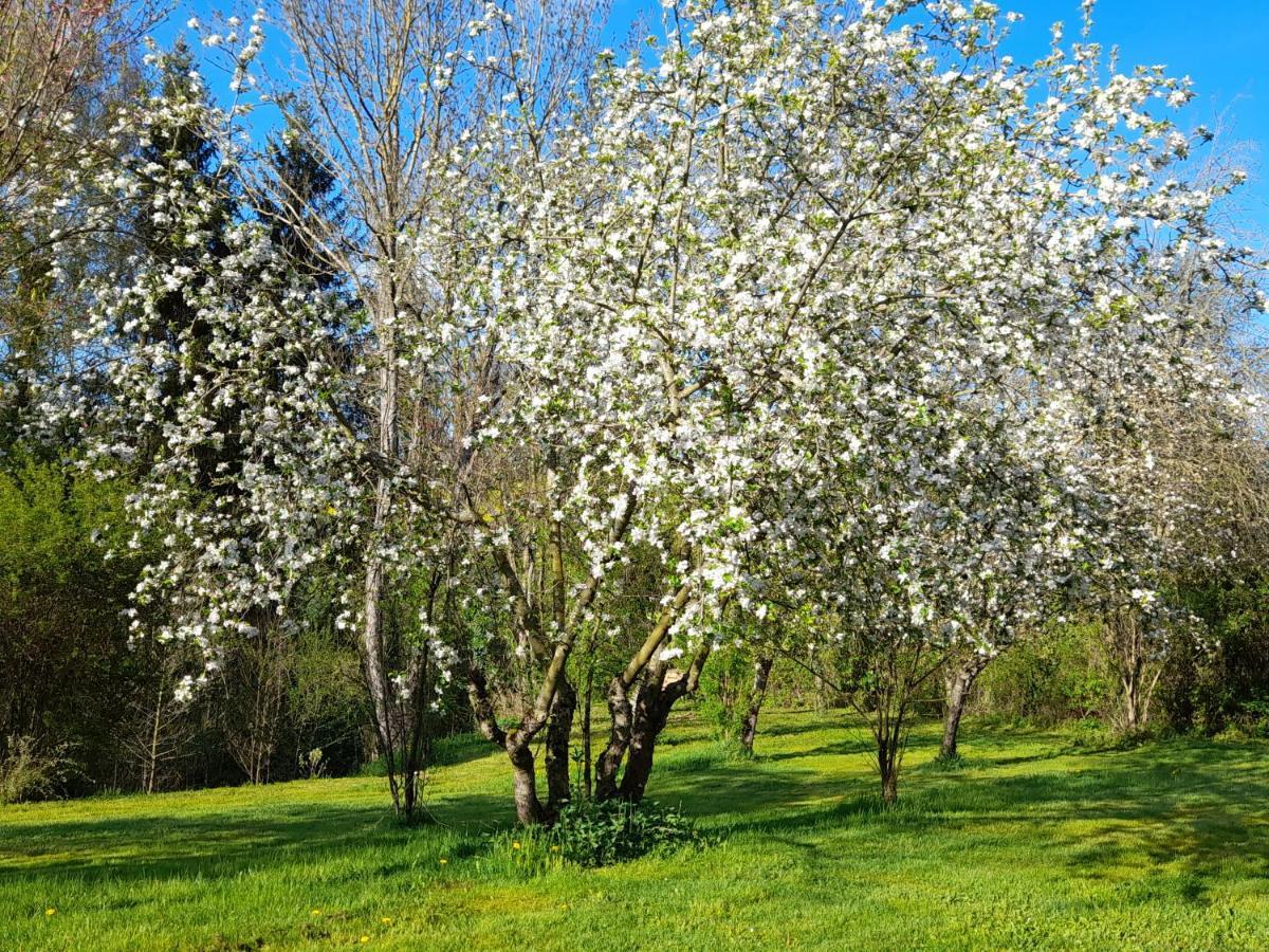 Domaine Pastel Bed & Breakfast Besson Eksteriør bilde